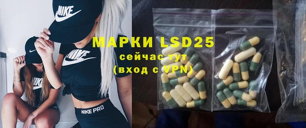 шишки Балахна