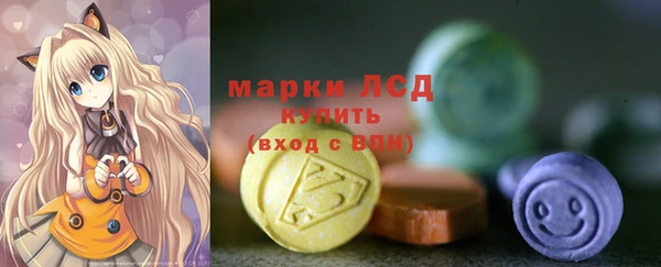 шишки Балахна