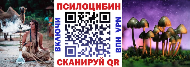 hydra онион  купить наркотики сайты  Солигалич  Галлюциногенные грибы MAGIC MUSHROOMS 